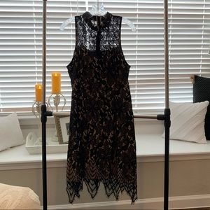 Black Lace Peekaboo Nude Lining Dress